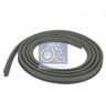 SCANI 1306379 Trim/Protective Strip, side window